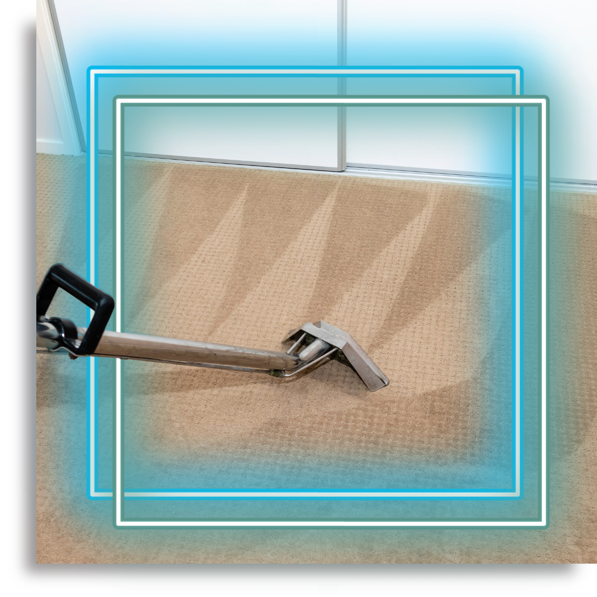 carpet cleaning image 128